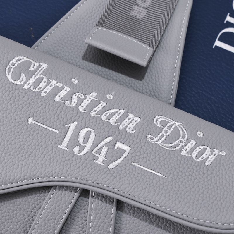 Mens Christian Dior Waist Chest Packs